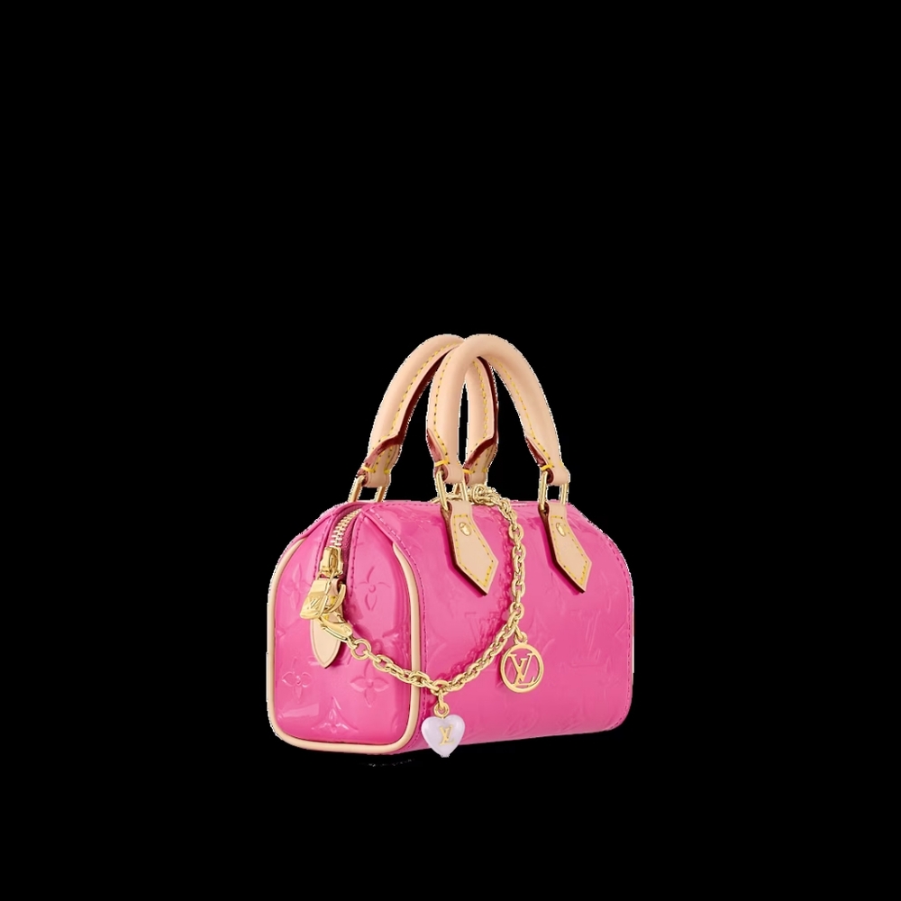 Louis Vuitton Gold Chain Bag